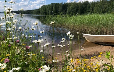 Panoraama - Näkymin aina 3,5 km Vehkajärven toiseen päähän asti.
