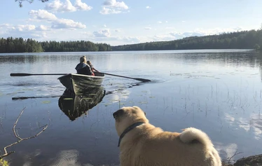 Unelmien häämatkalaiset