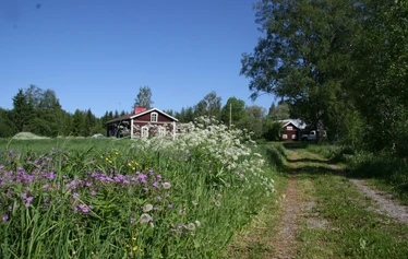 Unelmien häämatkalaiset