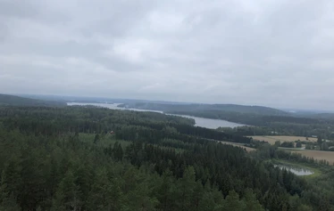 Palelluksen näkötorni