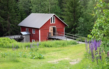 Palelluksen näkötorni