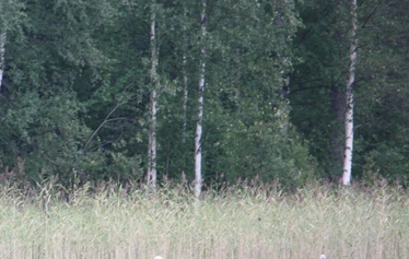 Panoraama sisäkuva - Näköaloin 3,5 km Vehkajärven toiseen päähän.