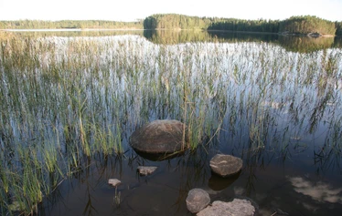 Panoraama sisäkuva - Näköaloin 3,5 km Vehkajärven toiseen päähän.