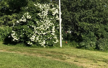 Pihapiiriä - Pihapiirin rakennukset ovat pääosin 1840-luvun alusta, osin 1700-luvulta, kuten kuvan keskellä oleva Väentupa. Sen vellikellossa on vuosiluku 1733, josta tilan tiedetään olleen saman suvun omistuksessa.