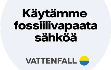 Aidot materiaalit - Talon aiemman emännän Annan Vehkaniemen kutomat pellavaverhot omista kasvattamistaan pellavista. Kaikki talon kudonnaiset ovat omin käsin kudottuja ja kuuluvat taloon. Mikään ei ole täällä päälle liimattua eikä kertakäyttöistä. 