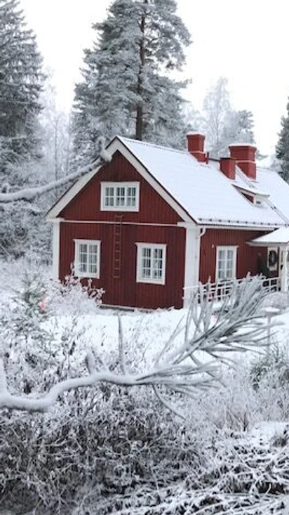 Villa Tammikko