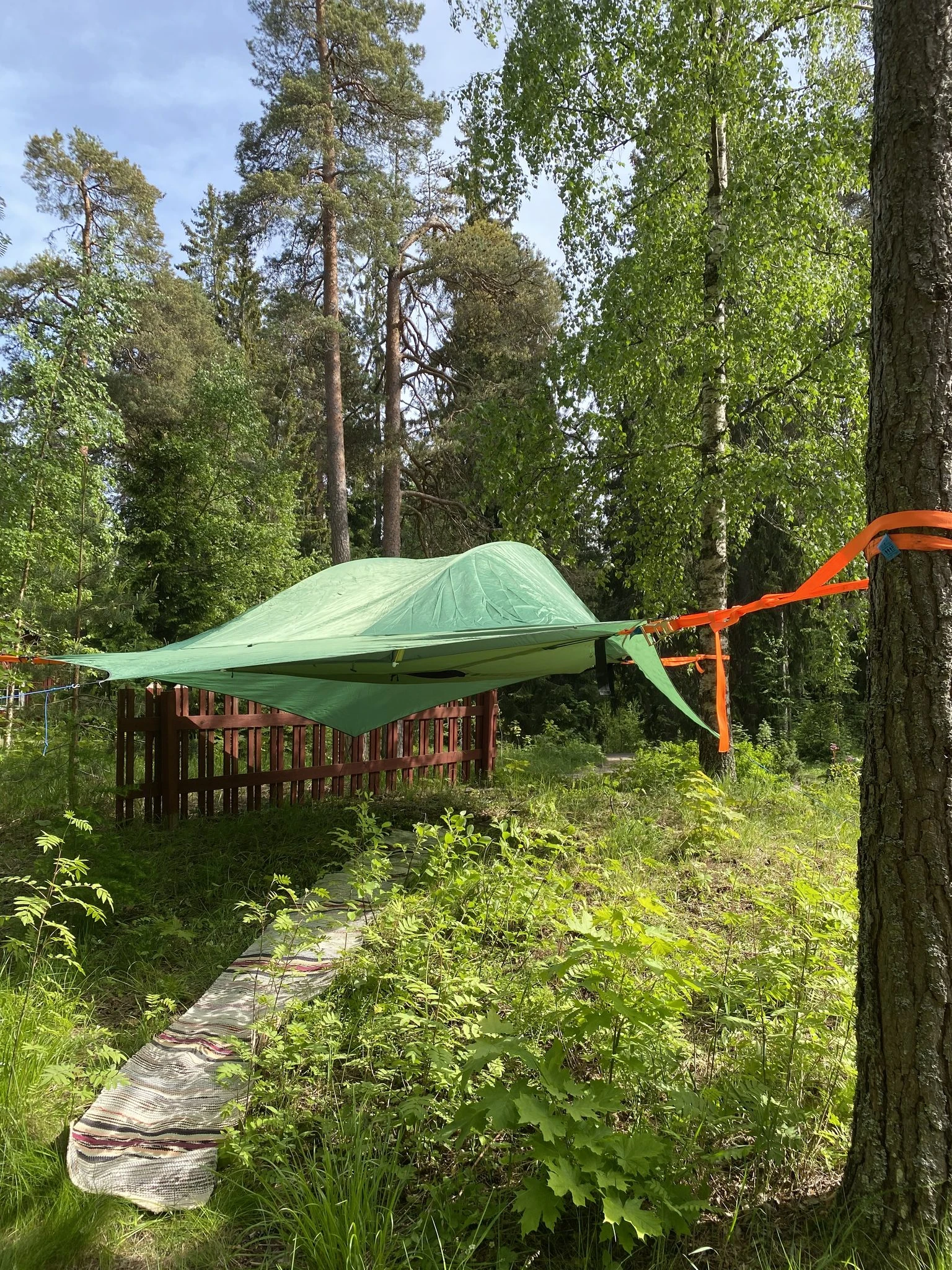 Majoitus puussa Tentsileteltassa, Tuusula Ruotsinkylä Natura Viva