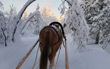 The first snow in Lapland - Snow in Lapland in November