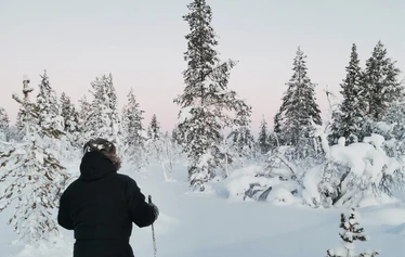 The first snow in Lapland - Snow in Lapland in November