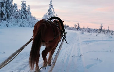 The first snow in Lapland - Snow in Lapland in November