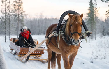 The first snow in Lapland - Snow in Lapland in November