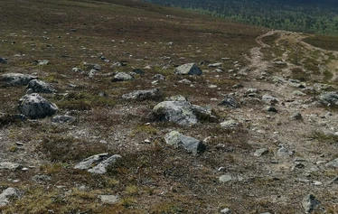 The first snow in Lapland - Snow in Lapland in November