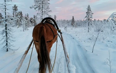 The first snow in Lapland - Snow in Lapland in November