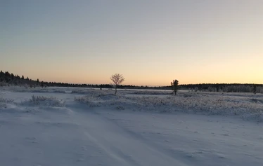 The first snow in Lapland - Snow in Lapland in November