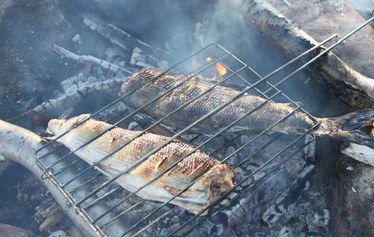 Shashlik