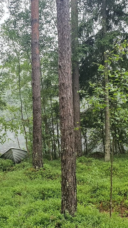 Aktiviteetit ja lisäpalvelut
