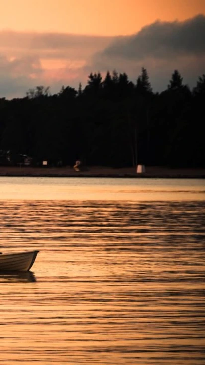 Fishing licenses