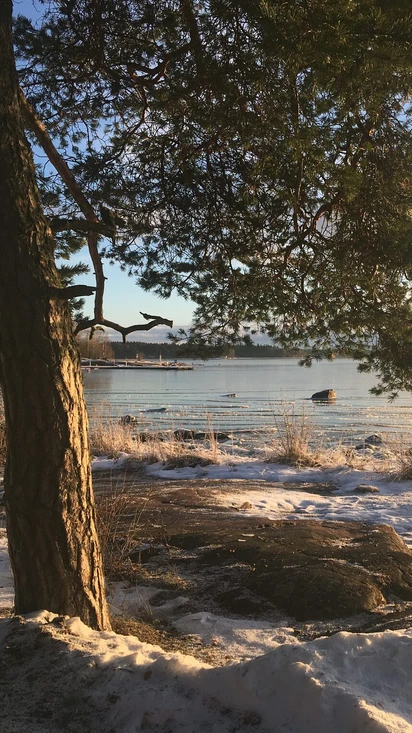 Elämyksellinen lomaviikko tai koko kuukausi saaristossa