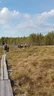 Salamajärven kansallispuisto