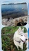 Experience Summer and Autumn Foliage in Kilpisjärvi, Arctic Lapland