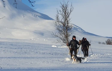 Balade en raquettes avec Guide Martti et Husky Peni