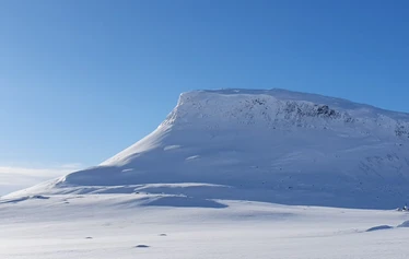 Balade en raquettes avec Guide Martti et Husky Peni