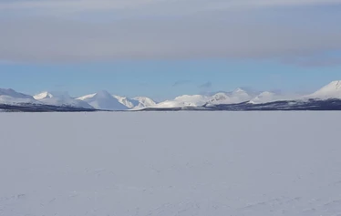 Sámi & Reindeer Experience with Family Tornensis