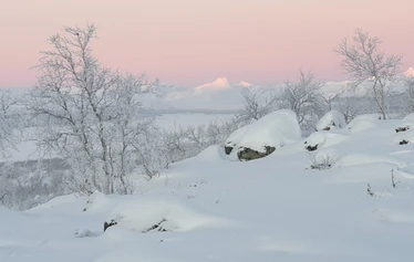 Sámi & Reindeer Experience with Family Tornensis