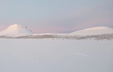 Sámi & Reindeer Experience with Family Tornensis