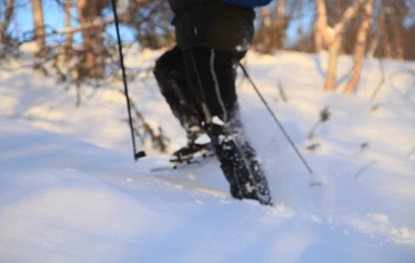 Balade en raquettes avec Guide Martti et Husky Peni