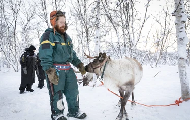 Sámi & Reindeer Experience with Family Tornensis