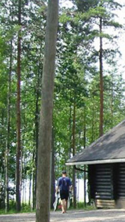 Lomapesät