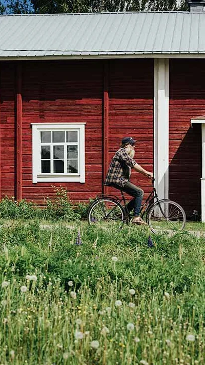 Näe & Koe