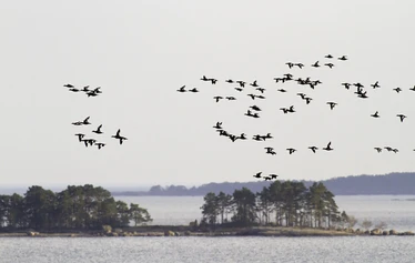 Arktika-päivät vuosittain Virolahdella - Arktika-päivät järjestetään vuosittain Virolahdella.