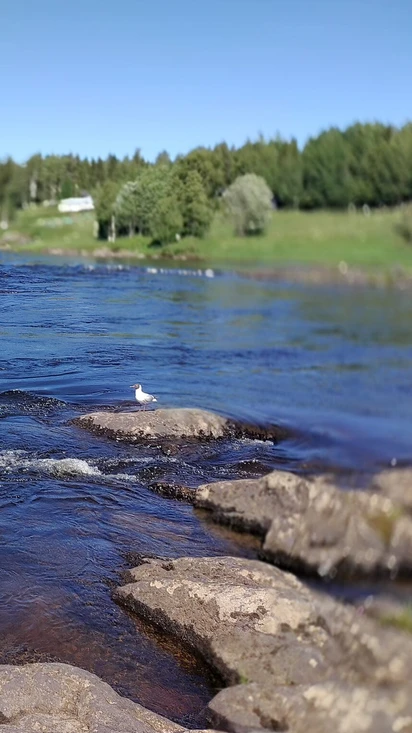 Tervetuloa