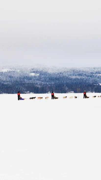 Tervetuloa!