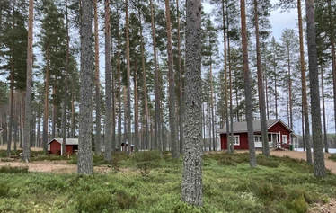 Kolmikanta Camp Center in Outokumpu North karelia
