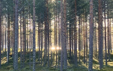 Saunatupa Kolmikannan leirintäalue - Vuokraa saunatupa kokouksiin tai saunailtaan. Soveltuu noin 10 henkilön porukoille.