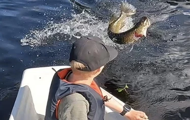 Uisteluretki 2h Heinolan urheilukalastusalueella - Soutukalastusretki kokeneelle- tai kalastuksesta kiinnostunelle kalastajalle, jossa opas soutaa sinut parhaille apajille yksin tai kaverisi kanssa kalastamaan parhailla välineillä ja menetelmillä.

Retkemme sisältää kaikki tarvittavat varusteet, sinun tarvitsee vain pukeutua sään mukaan ja nousta veneeseen. 

Retki ei sovellu liikuntarajoitteiselle, tai alle 5 vuotiaille lapsille.

