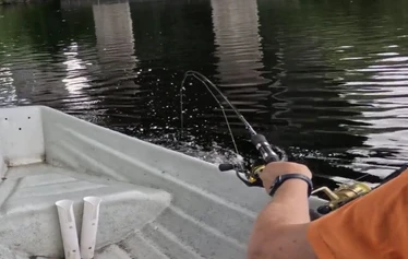 Uisteluretki 2h Heinolan urheilukalastusalueella - Soutukalastusretki kokeneelle- tai kalastuksesta kiinnostunelle kalastajalle, jossa opas soutaa sinut parhaille apajille yksin tai kaverisi kanssa kalastamaan parhailla välineillä ja menetelmillä.

Retkemme sisältää kaikki tarvittavat varusteet, sinun tarvitsee vain pukeutua sään mukaan ja nousta veneeseen. 

Retki ei sovellu liikuntarajoitteiselle, tai alle 5 vuotiaille lapsille.

